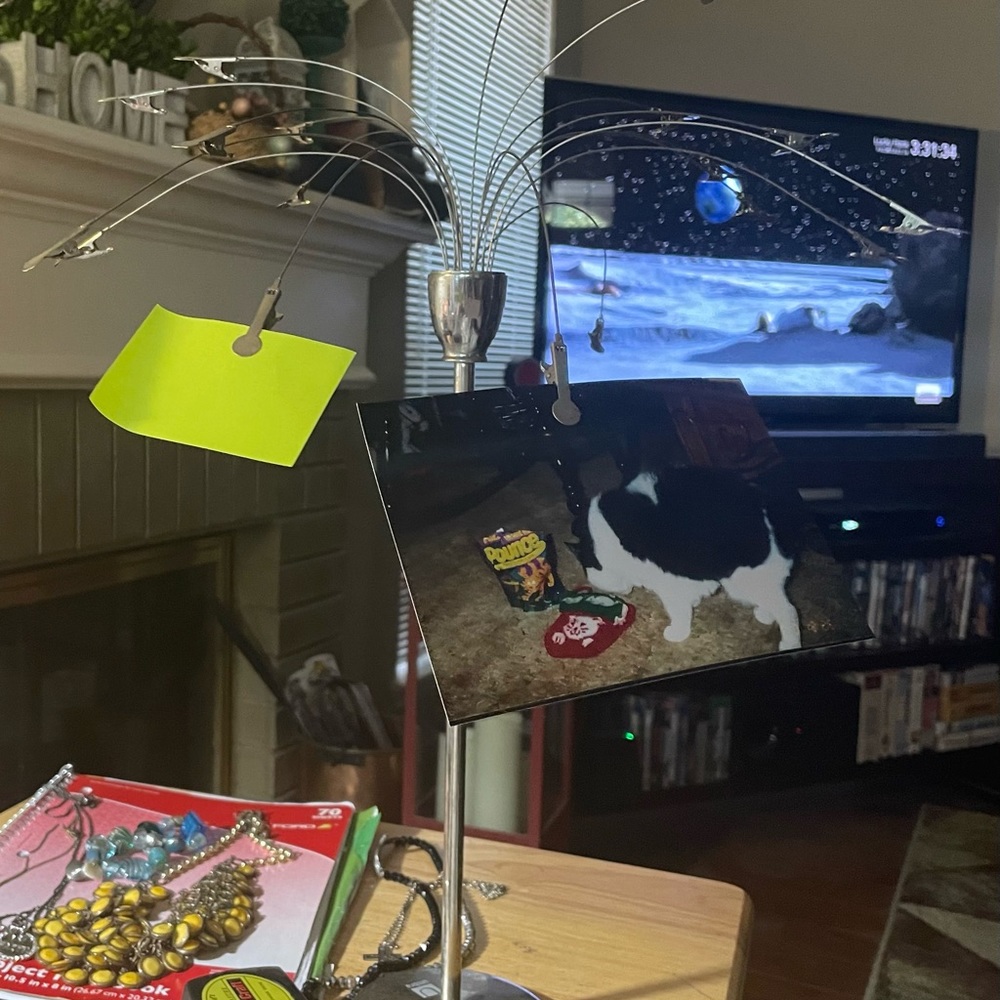 Fotofalls by Umbra desktop photo tree. New ones sell for $30 & up